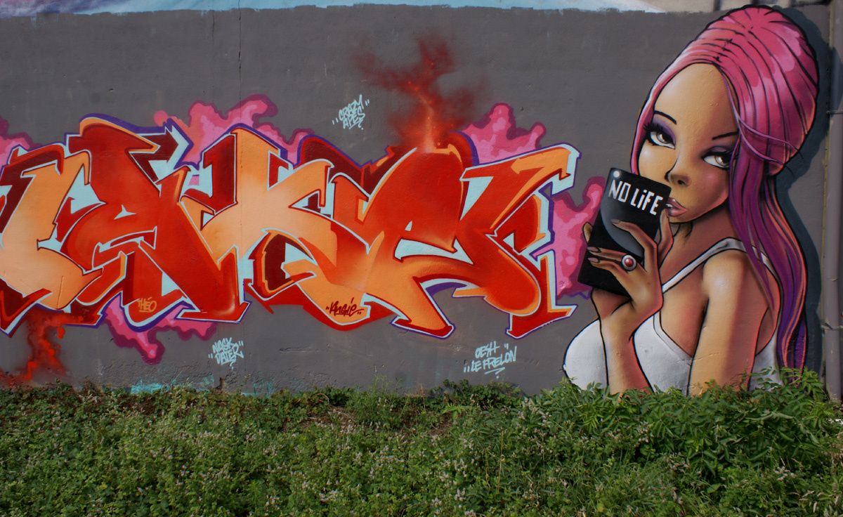 Street Art : Graffitis & Fresques Murales 31022 Aucamville