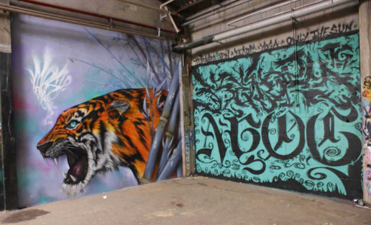 Street Art : Graffitis & Fresques Murales 31022 Aucamville