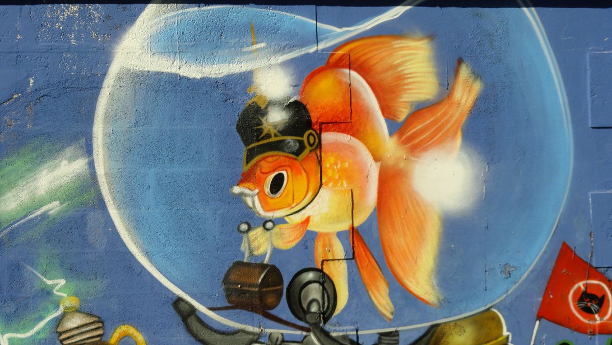 Album - Graffitis Caserne Niel Bordeaux Tom 009