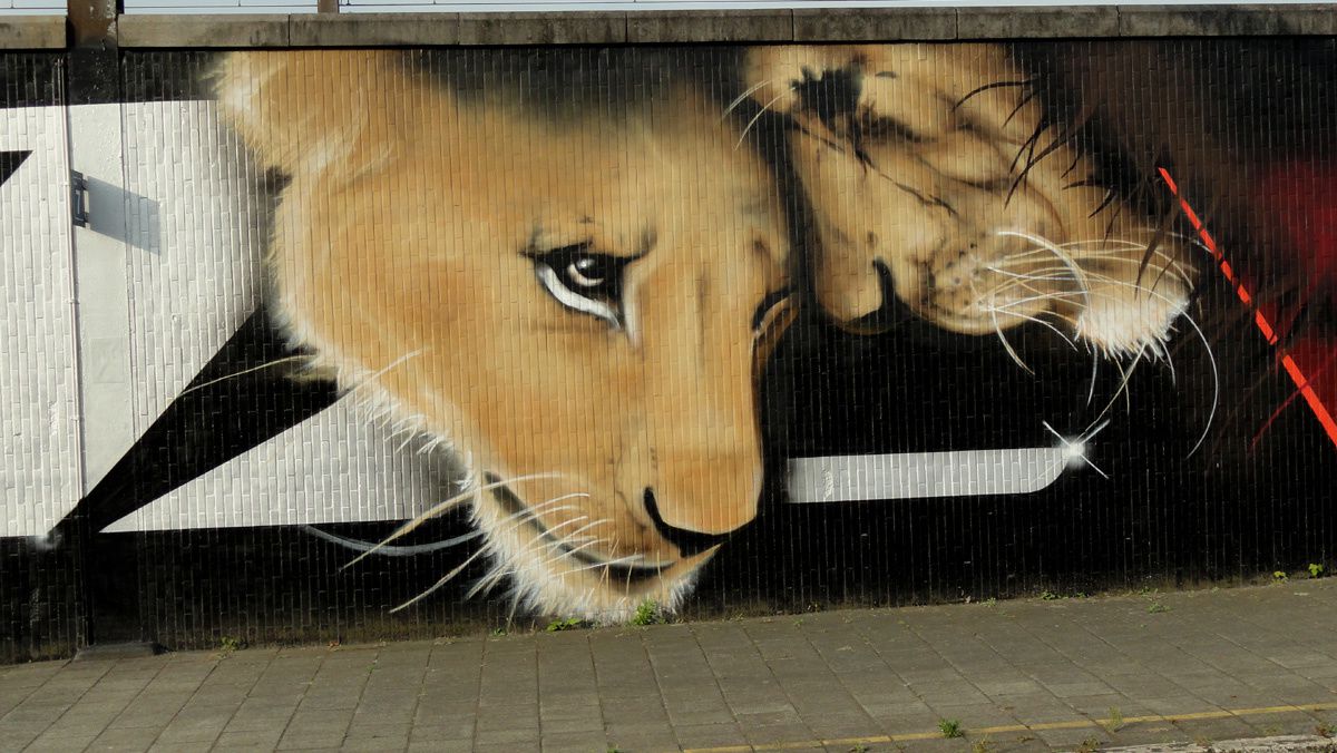 Album - Graffitis Belgique Tom 010