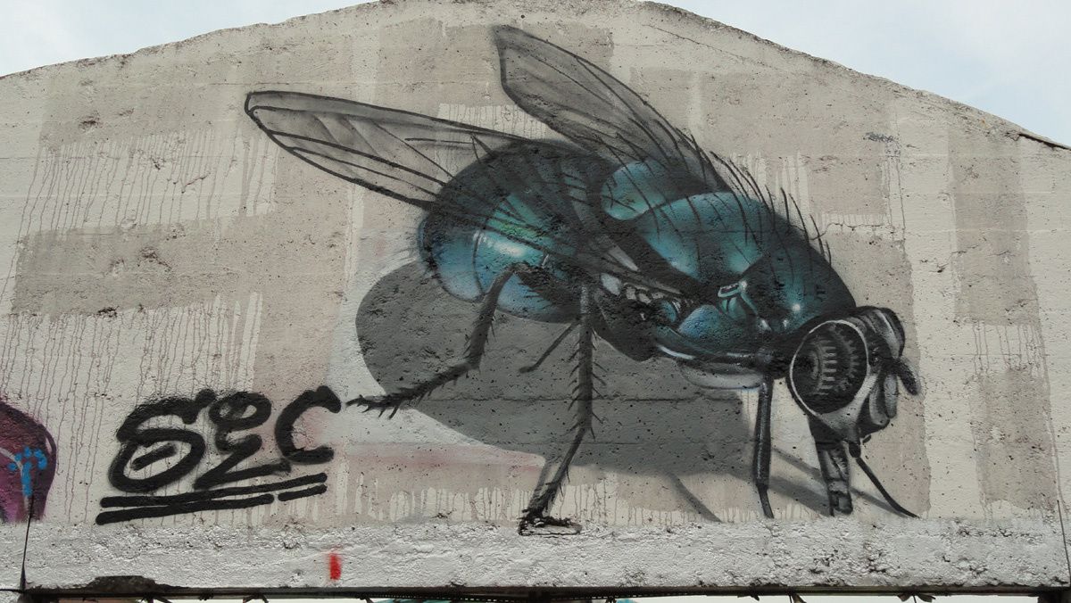 Street Art : Graffitis &amp; Fresques Murales 9000 Gent (Belgique)