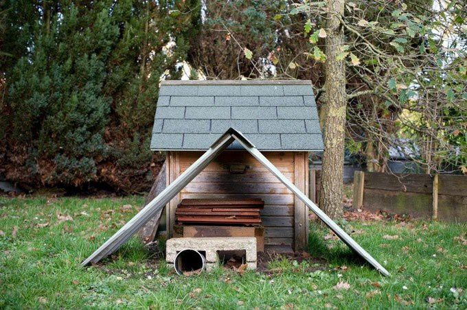 Cet abri dédié aux hérissons contient de la nourriture et est inaccessible aux chats.