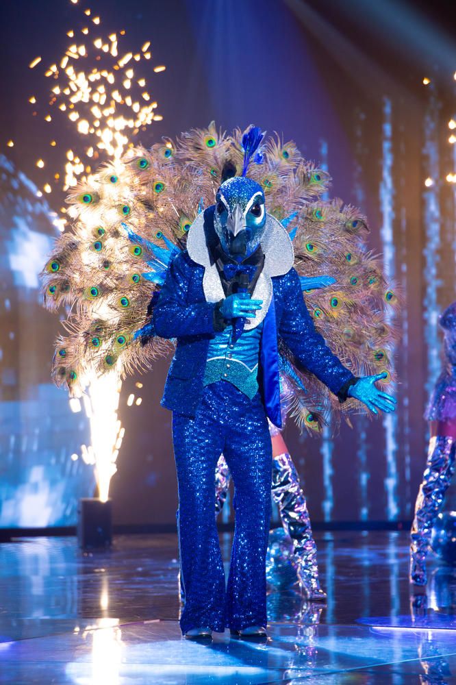 Mask Singer avec 12 people sur TF1 : Qui se cache sous les costumes de paon, lion, abeille, panthère ? (Photos)