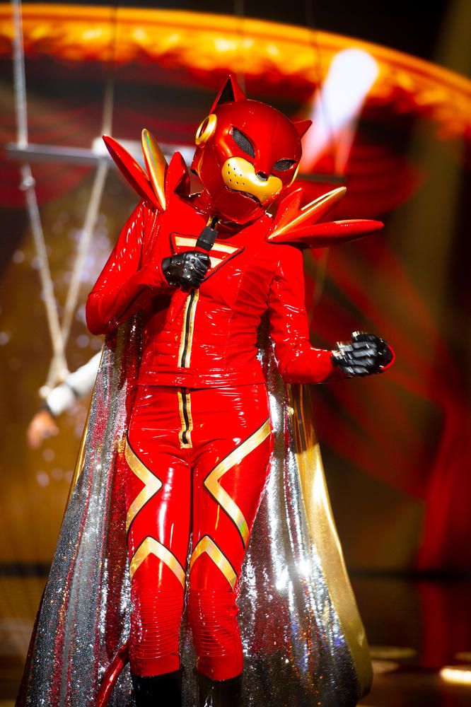 Mask Singer avec 12 people sur TF1 : Qui se cache sous les costumes de paon, lion, abeille, panthère ? (Photos)