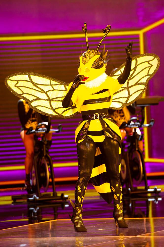 Mask Singer avec 12 people sur TF1 : Qui se cache sous les costumes de paon, lion, abeille, panthère ? (Photos)