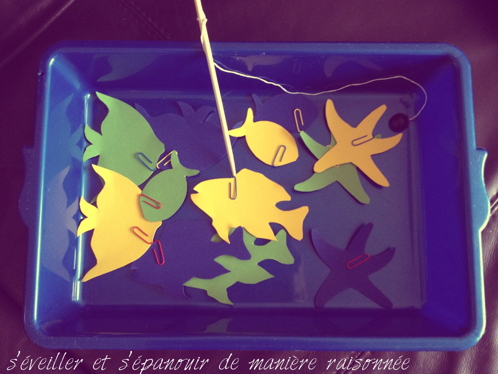 La pêche de la lotte à karelii vidéo