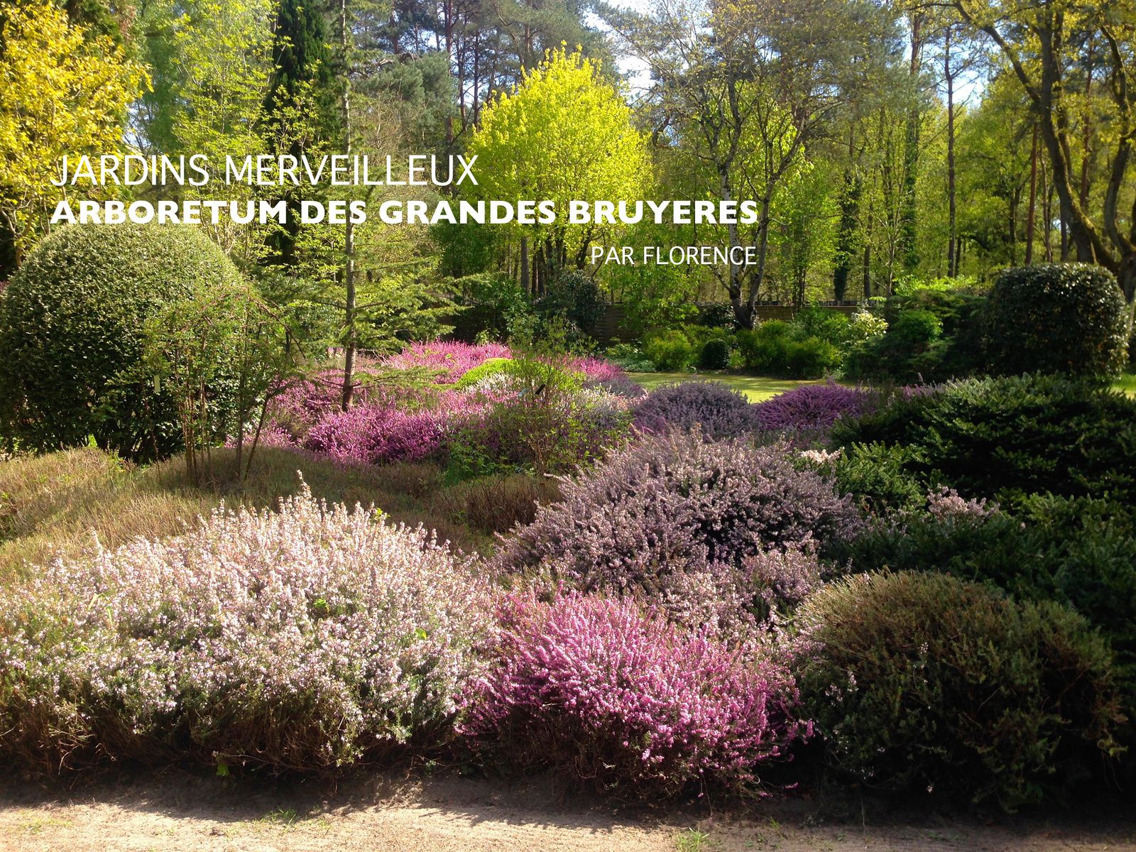 Arboretum des Grandes Bruyères - Loiret - JARDINS MERVEILLEUX