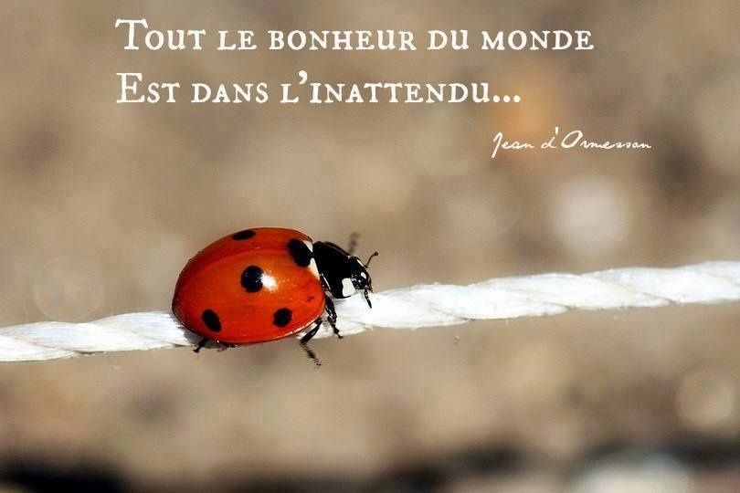 site de rencontre ame soeur