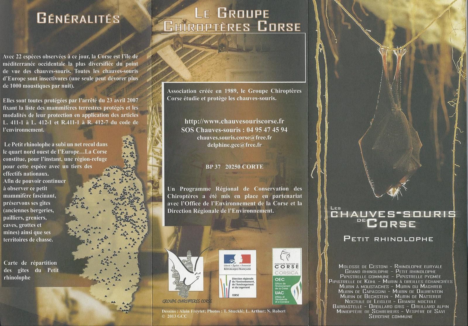 profil original site de rencontre