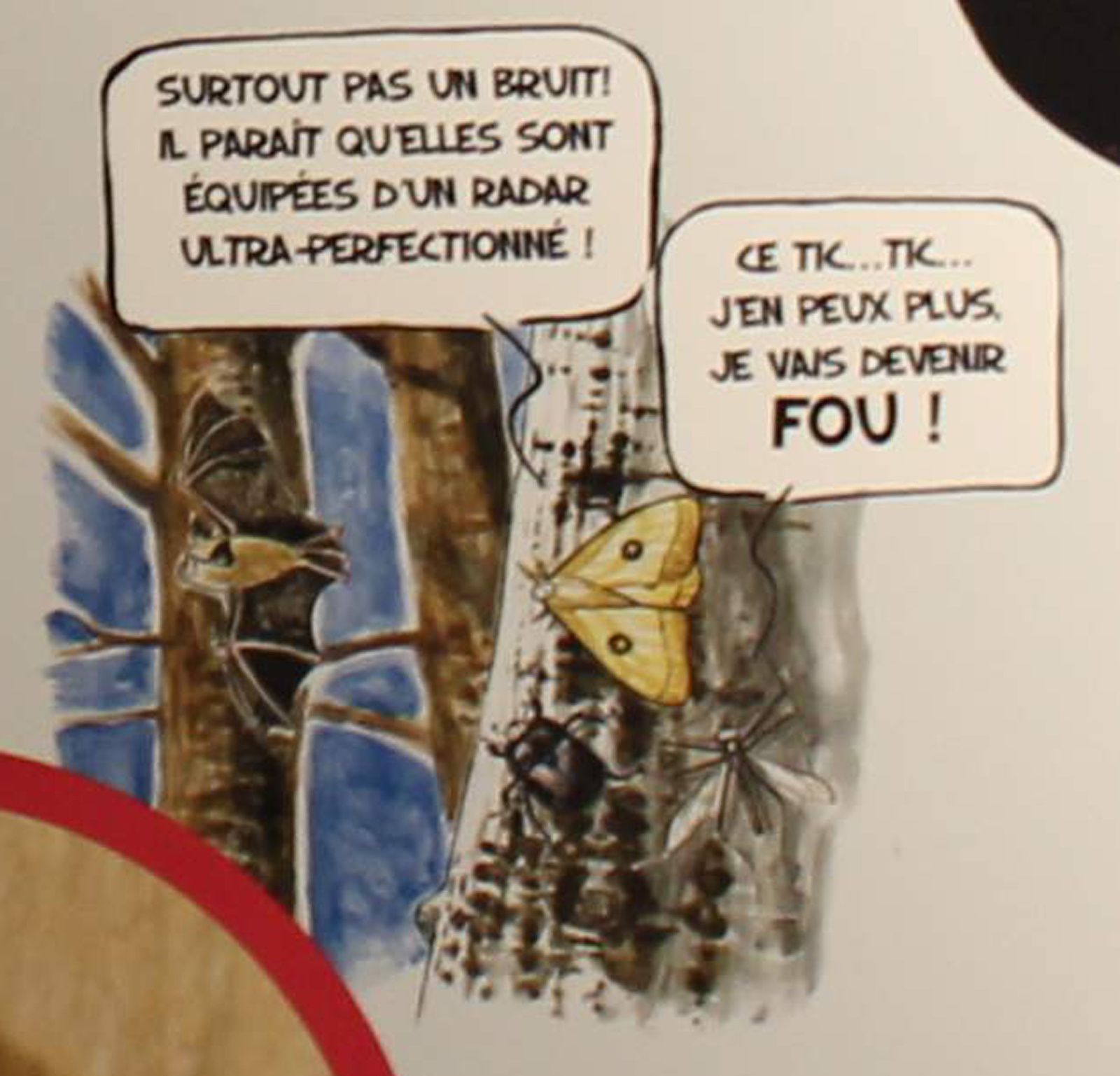 Rencontres chiropteres bourges 2016