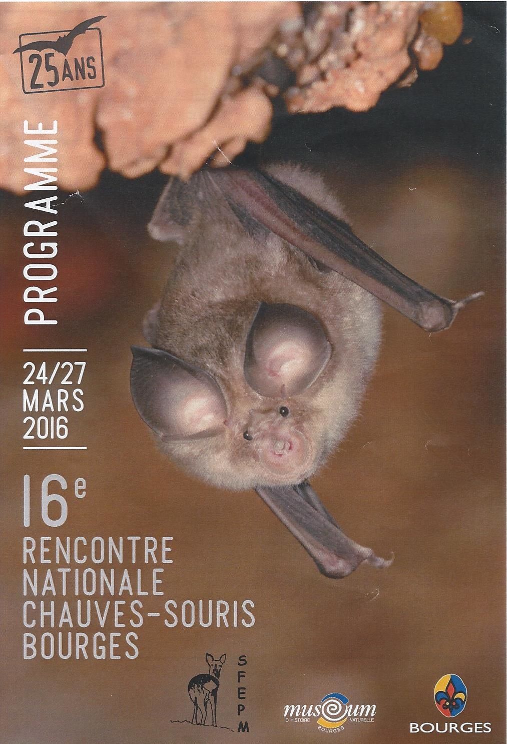 rencontre chauves souris bourges