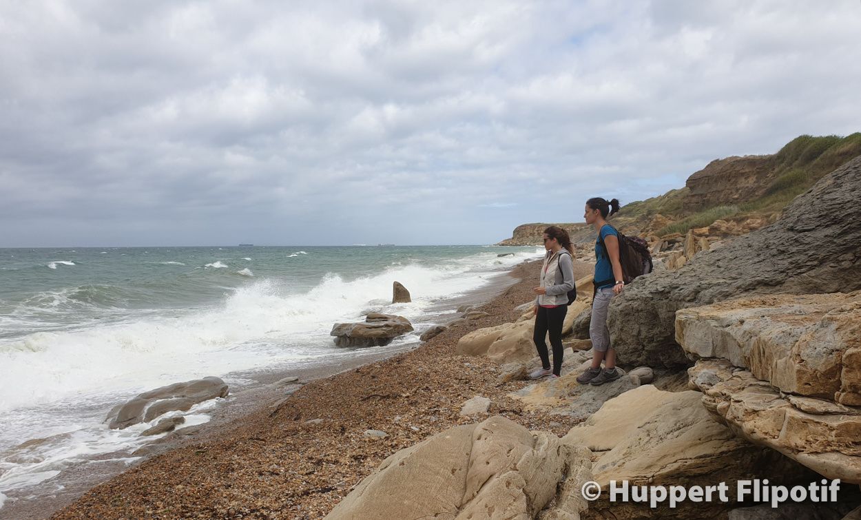 Plage cran Poulet Cap Gris-Nez
