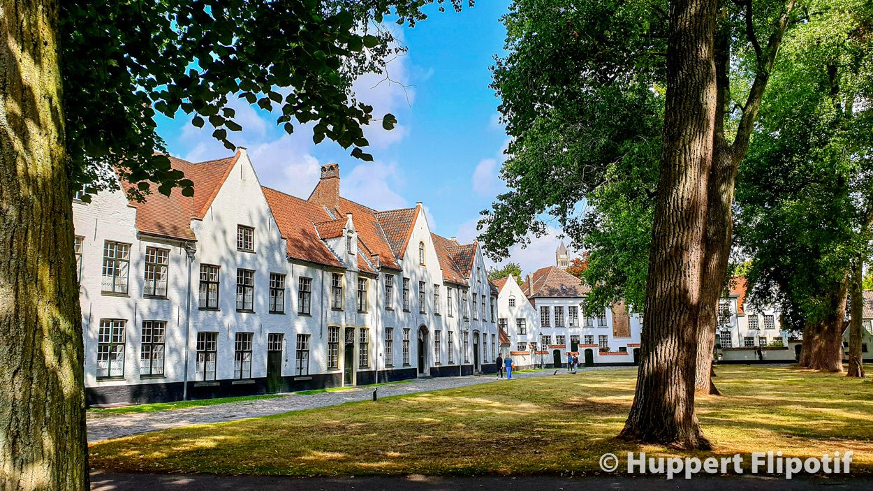 Bruges Le béguinage de la Vigne (Begijnhof)