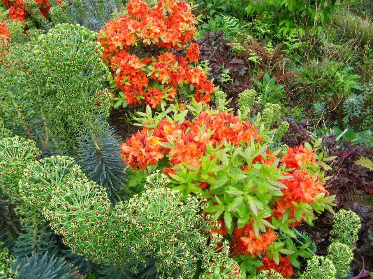 26 avril 2015 - Paris