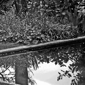 Reflet (Guernesey, Saint-Peter Port, Hauteville House) © G.G.pour le texte et l'image.