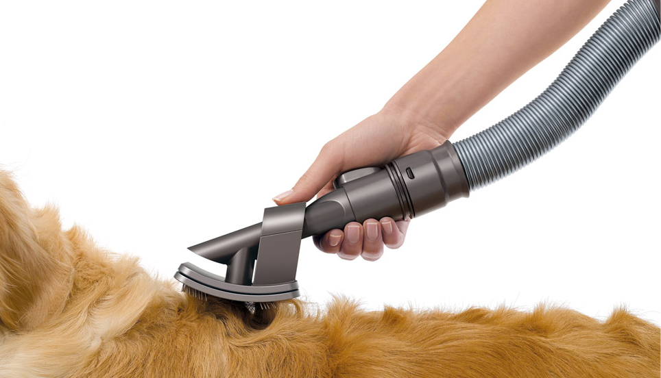 Dyson propose un accessoire pour le bienêtre des chiens mes animaux de coeur