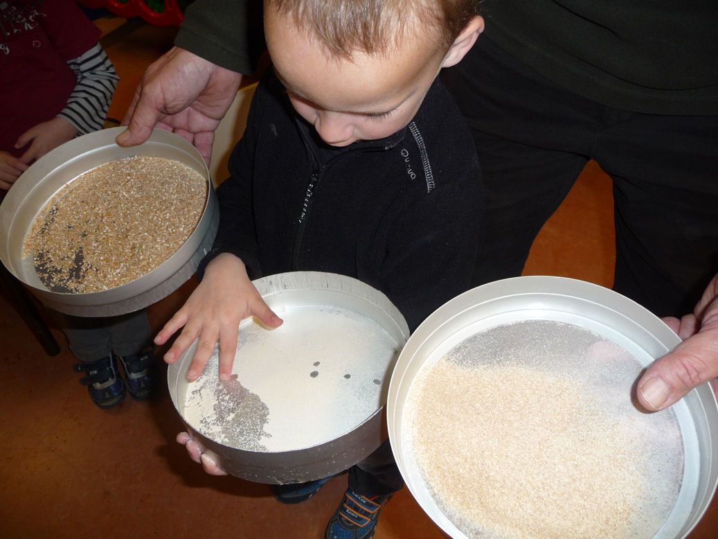 Du grain de blé à la baguette