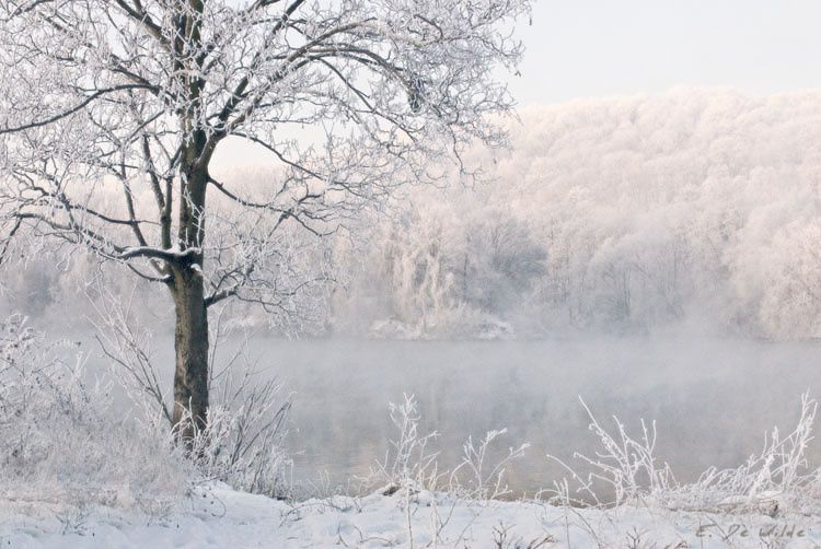 Jacques Prevel L'univers de Jacques Prevel