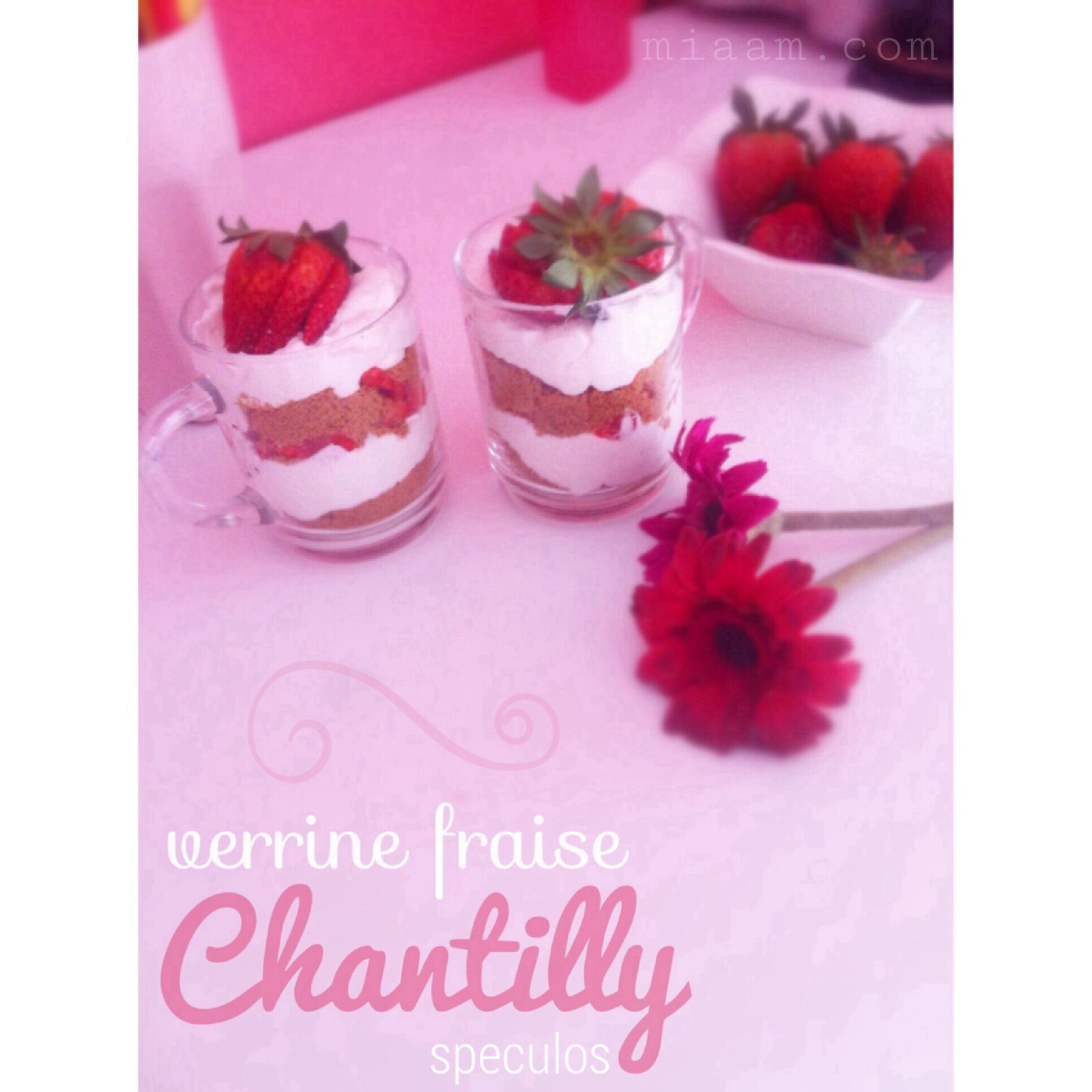Verrine fraise chantilly & spéculos