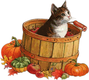 Résultats de recherche d'images pour « halloween chaton gif animé »