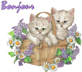 Chat couple gratuit