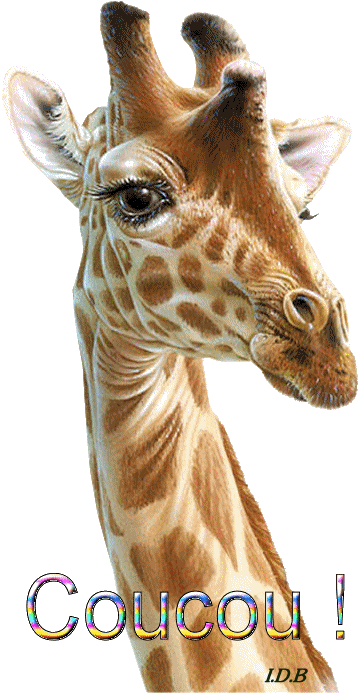 Résultat de recherche d'images pour "gif girafe"