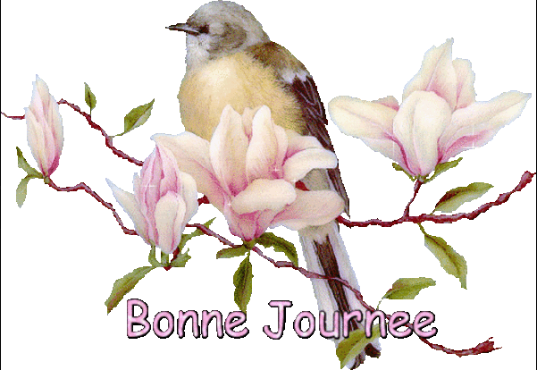 Bonne journée - Branche - Fleurs - Oiseau - Gif scintillant - Gratuit - Le  Monde des Gifs