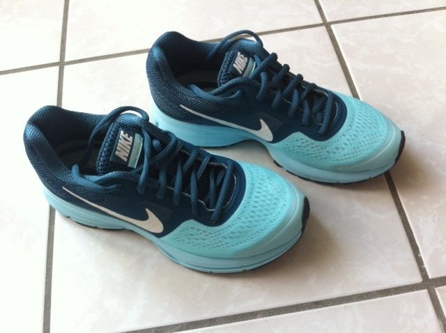 avis nike pegasus 30 avis nike pegasus 30