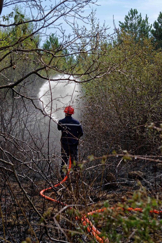 Les pompiers en action pour un feu de broussailles près de l'A71