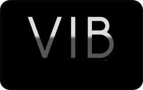 Nouveau réseau de bus de Vierzon (3) : les logos du Vib auxquels vous avez échappé