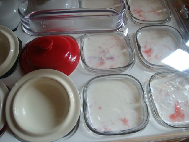Yaourt fraise,mascarpone et basilic !!Multi-délices