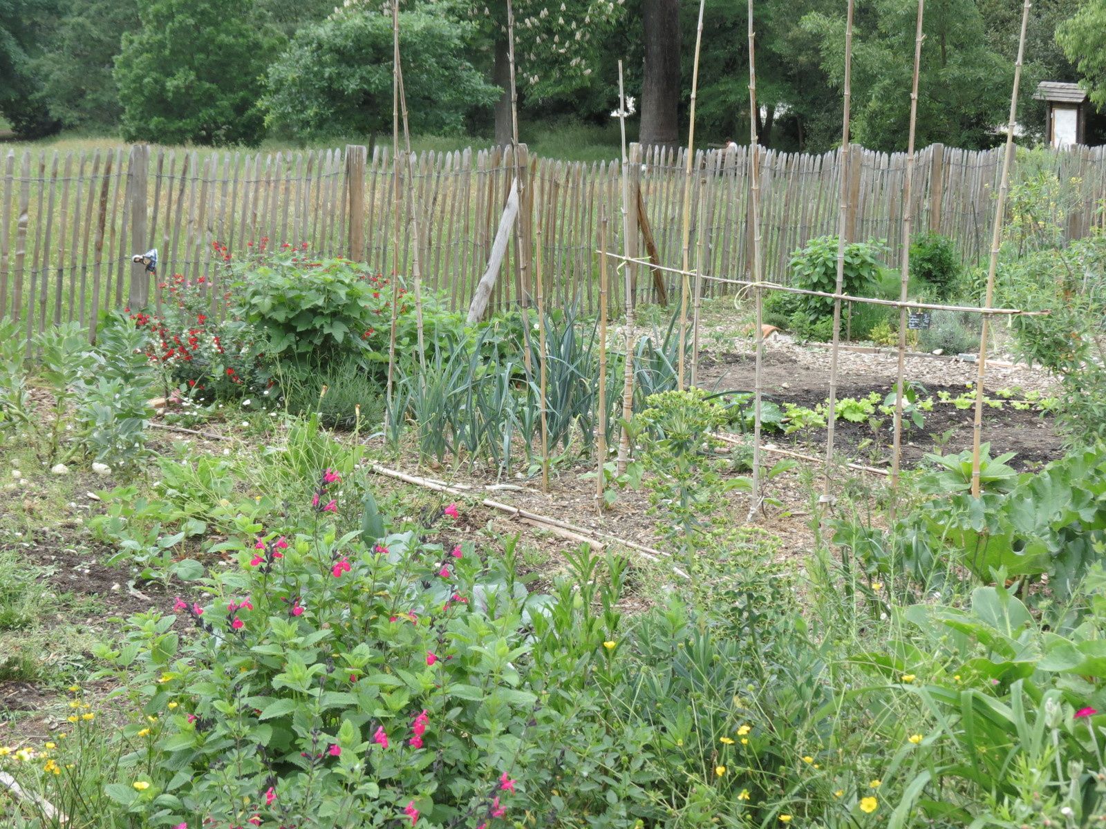 Jardin De La Béchade