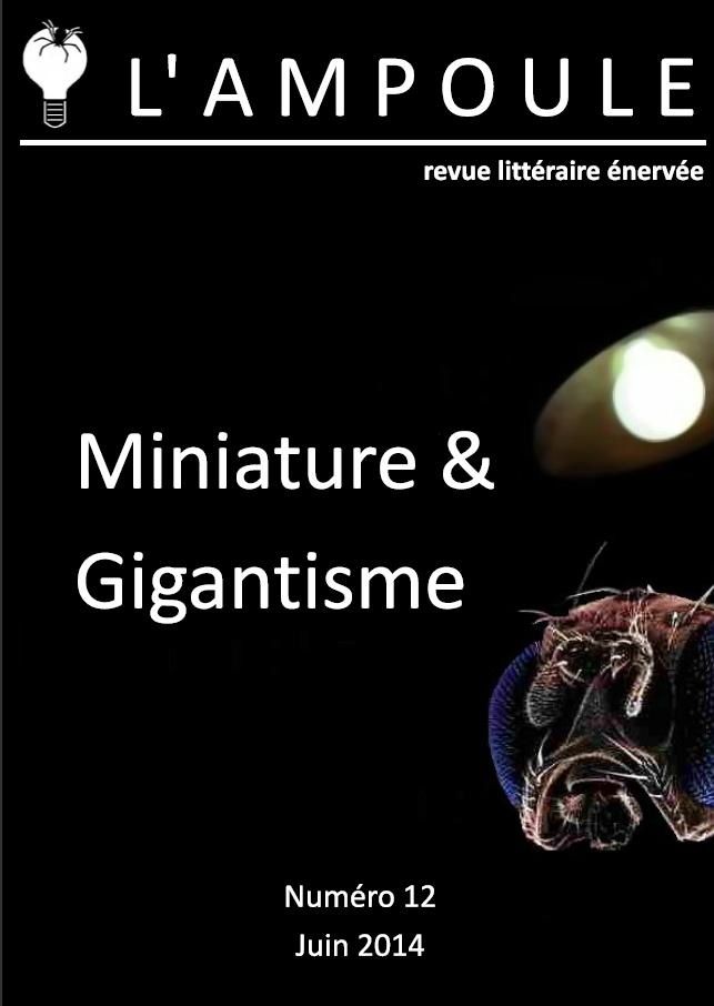 L'Ampoule n°12 couv