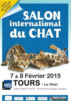 Salon International 2015 du Chat à Tours 