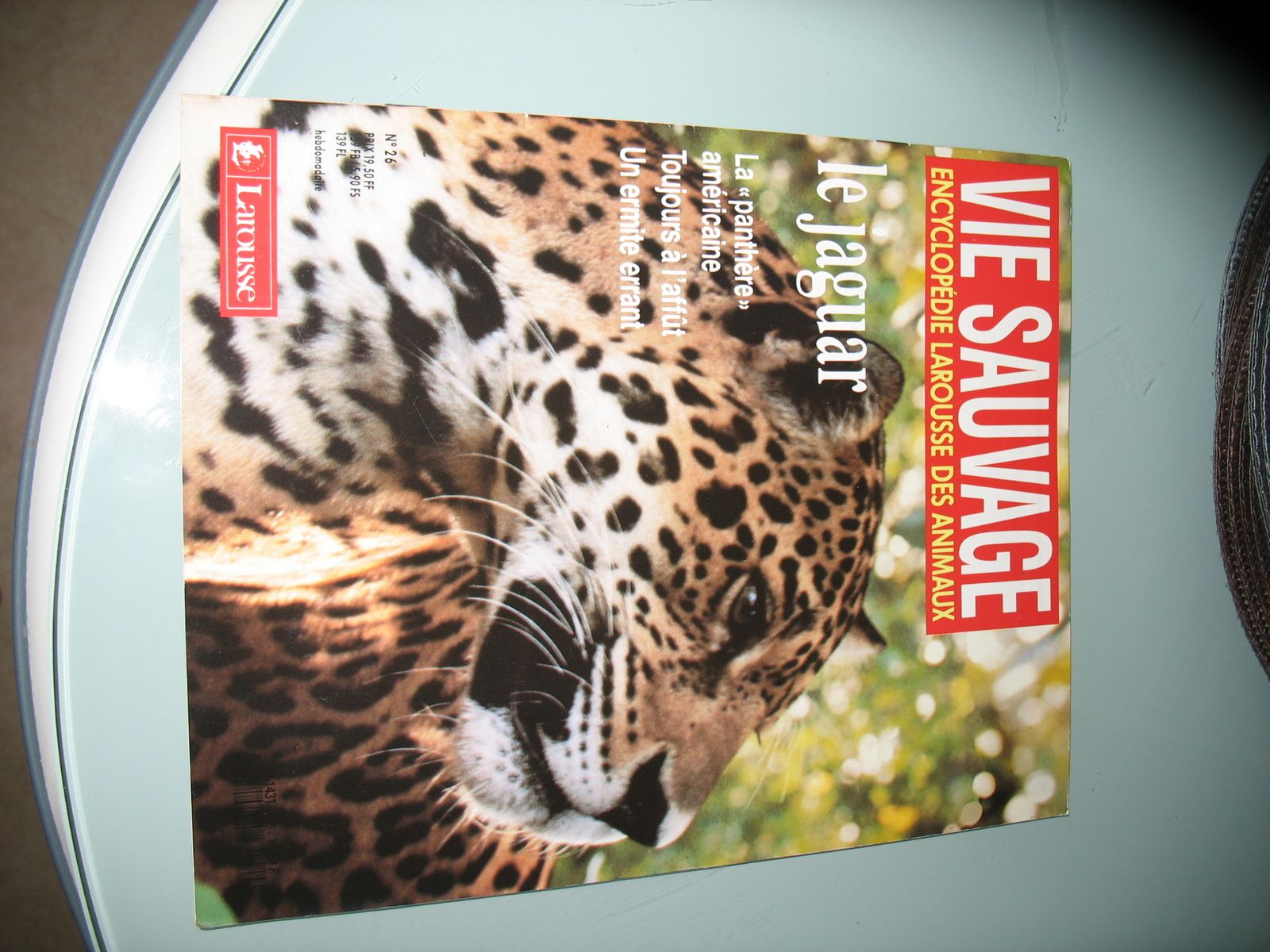 Vie Sauvage - Le jaguar