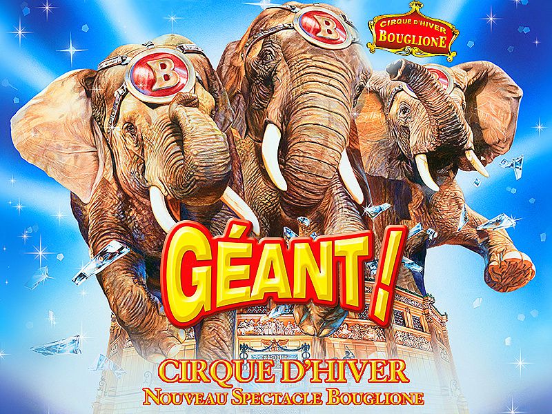 Géant, le spectacle 2014 du cirque d'hiver - Le bloc-notes de cirk75