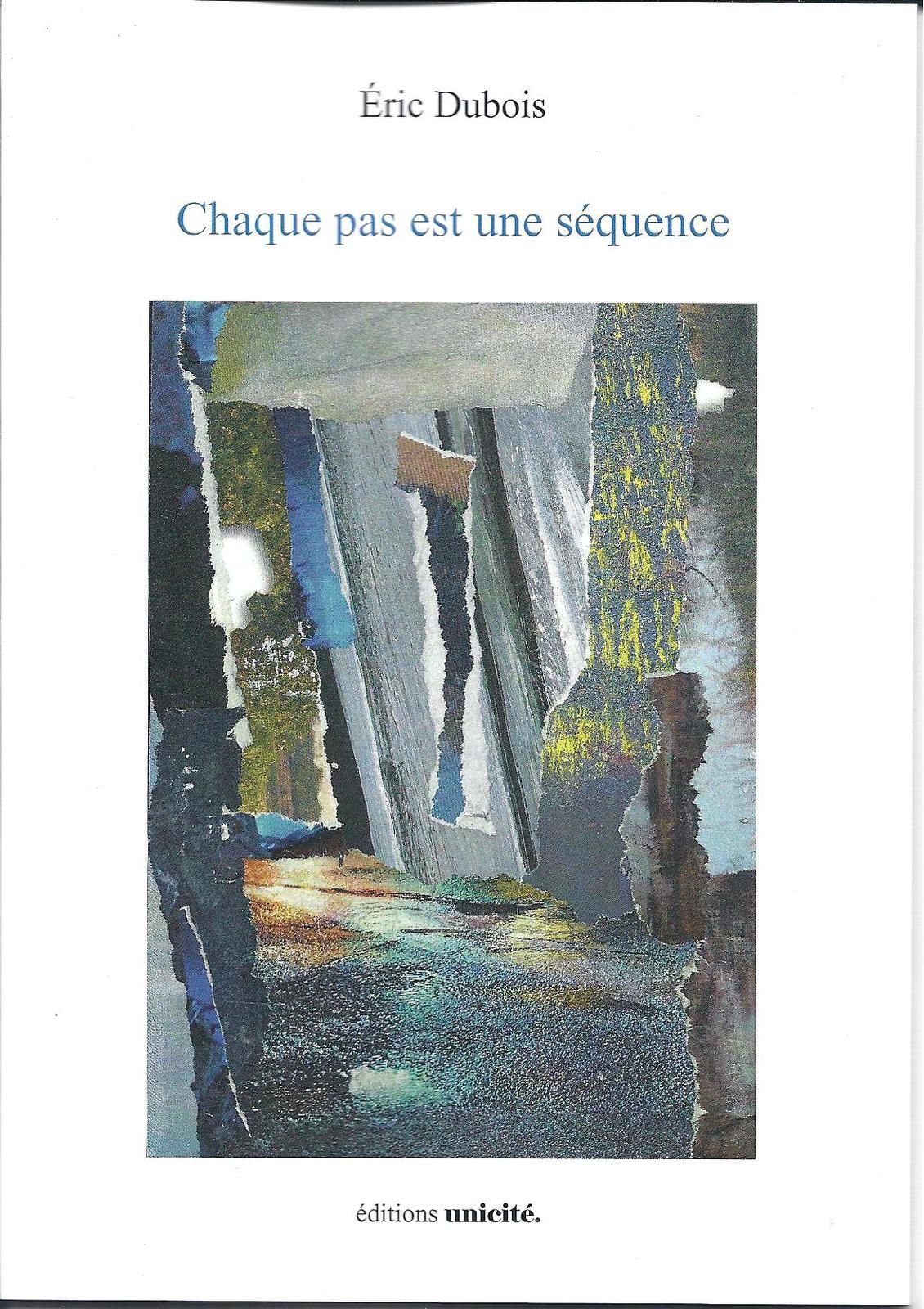 Chaque pas est une séquence .Eric Dubois. Editions Unicité. Sur la couverture : collage de © Ghislaine Lejard | DR 