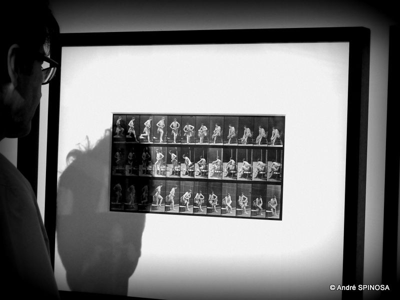 les rencontres arles photo