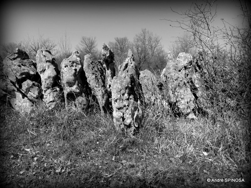 rencontres pelouses seches