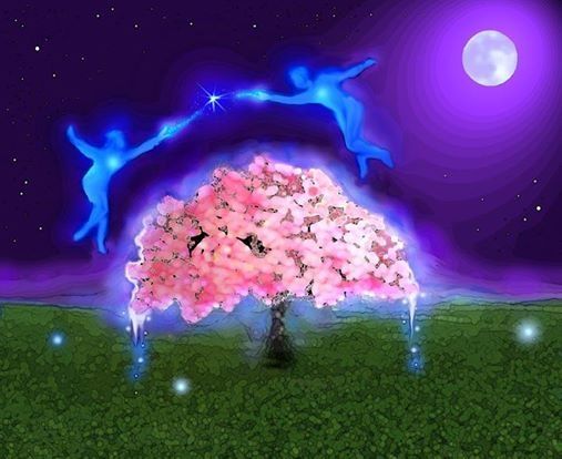 flamme jumelle rencontre