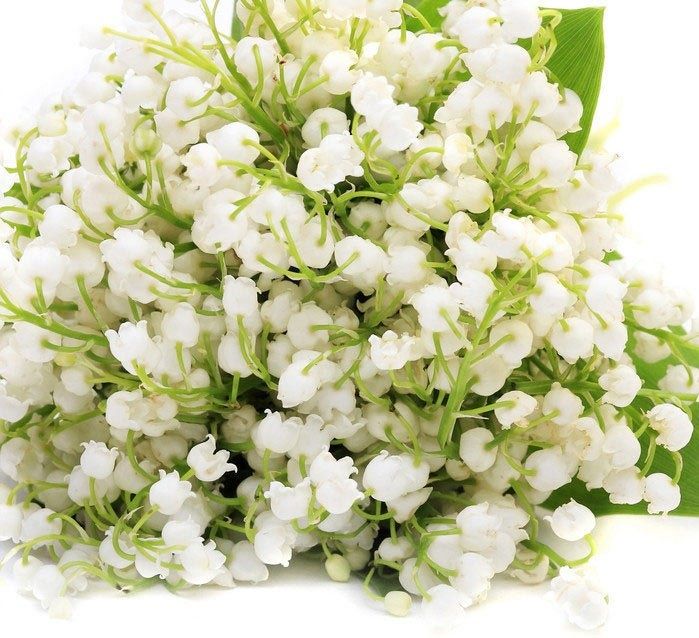 une de mes plus belle rencontre