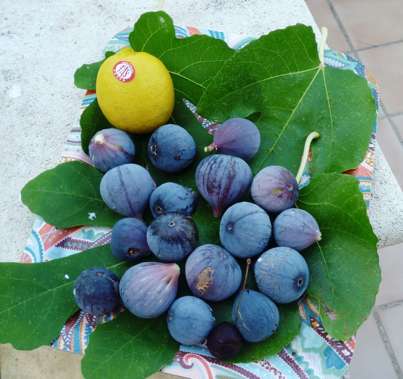 LES FRUITS COMMENÇANT PAR F Ob_2bb3a7_p1070229