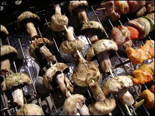 Brochettes de champignons au barbecue