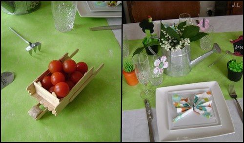 Déco de table jardin + pliage de serviettes papillon