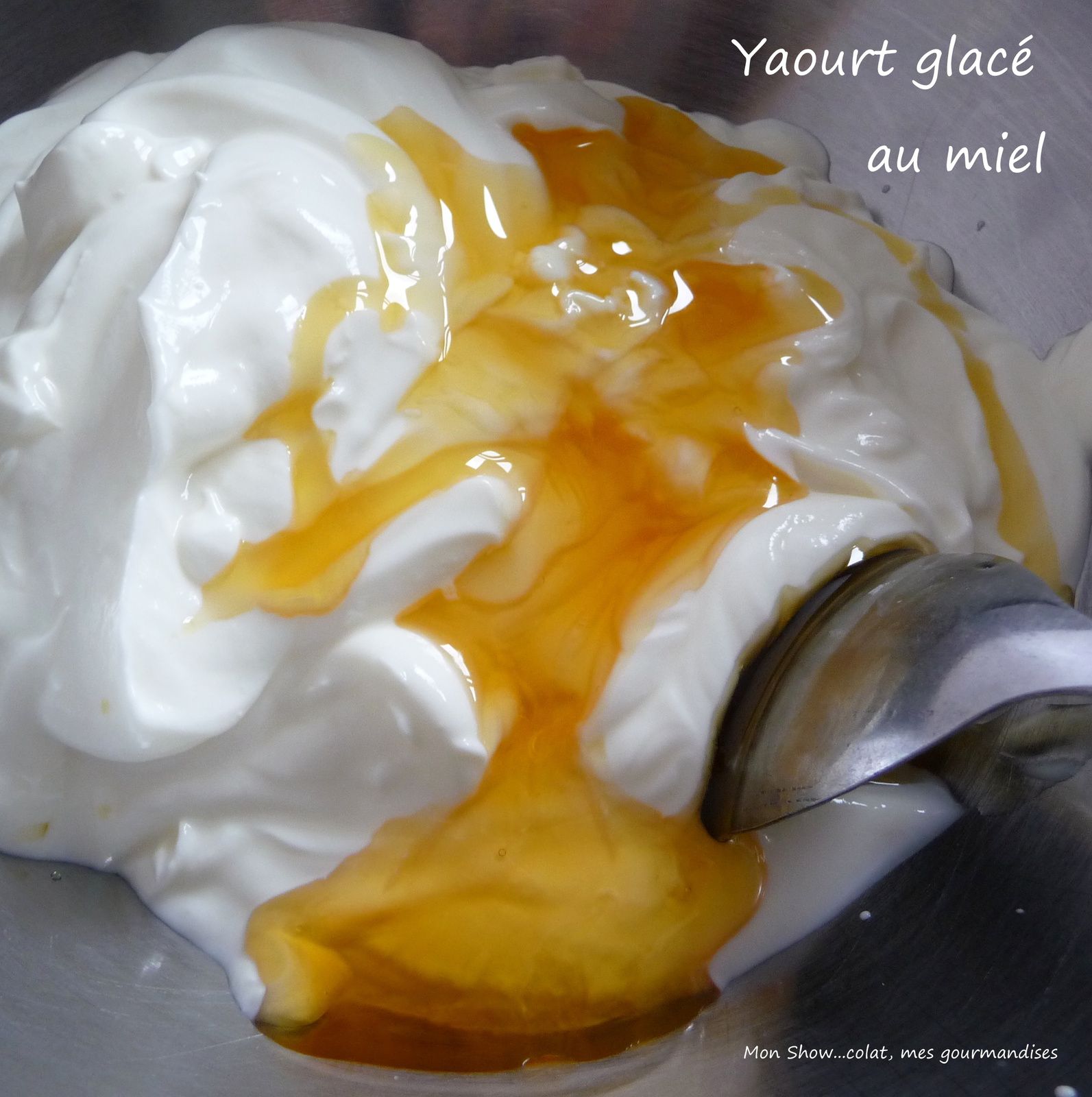 Yaourt glacé au miel  (Frozen yogurt)
