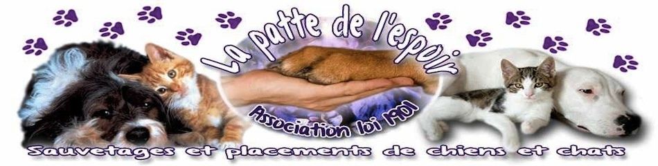 rencontre region pithiviers