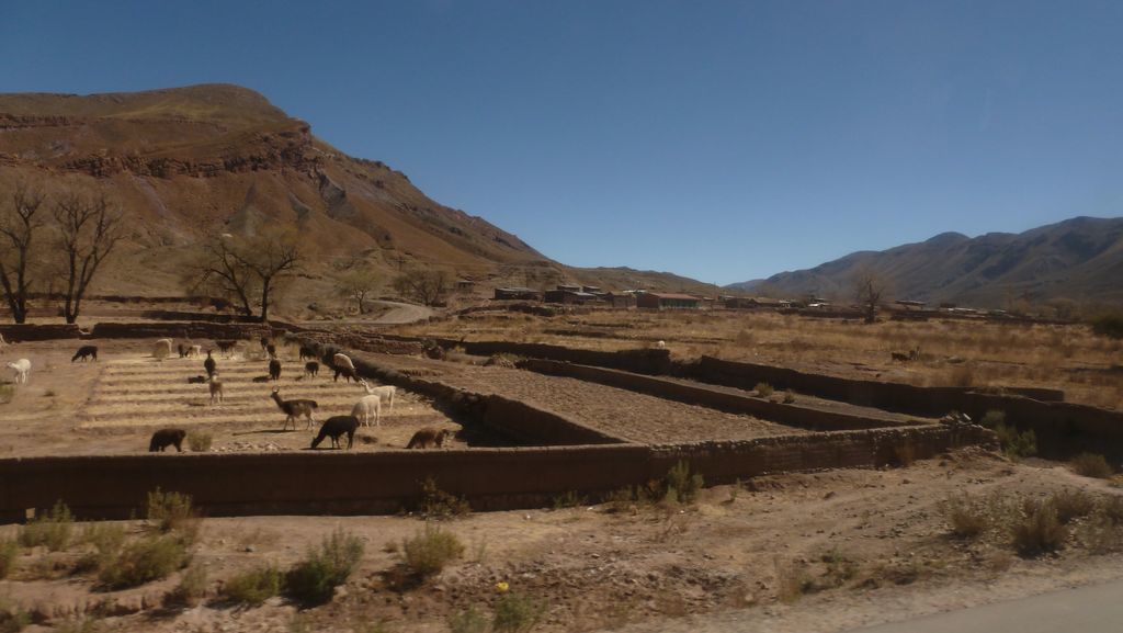 De Uyuni à Potosi (Bolivie)