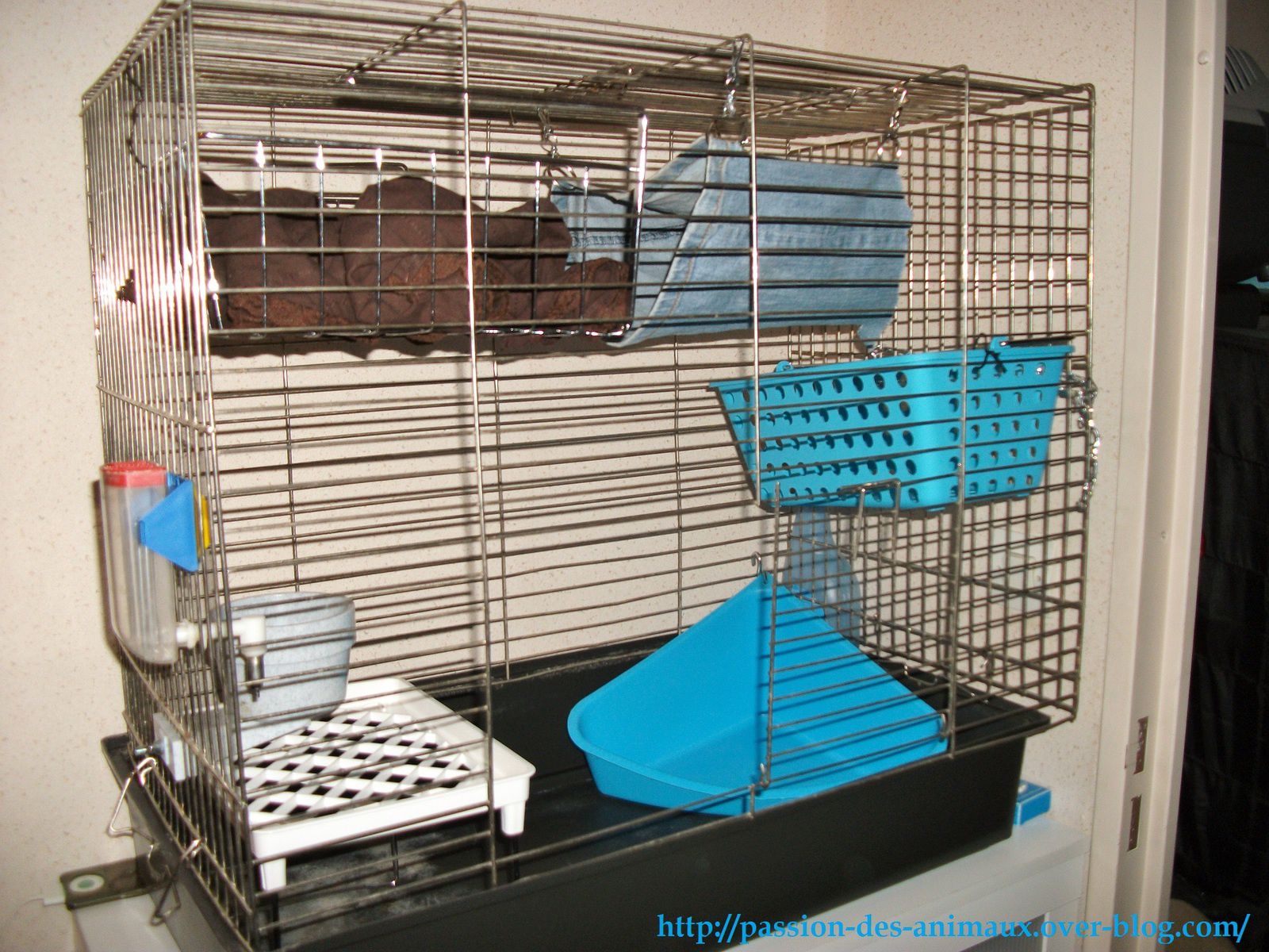 Bricolage : Aménager une cage pour rat - Le Blog de Passion.Animale