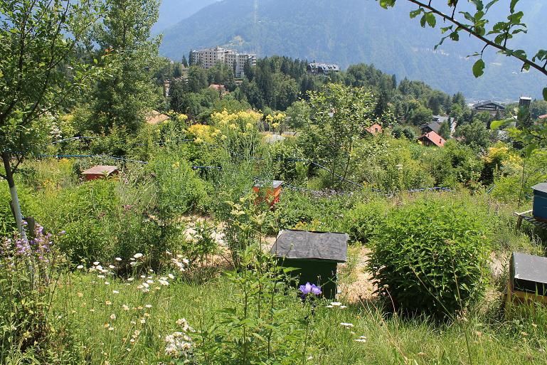 Le jardin des cimes avec vue sur le massif du Mont-Blanc