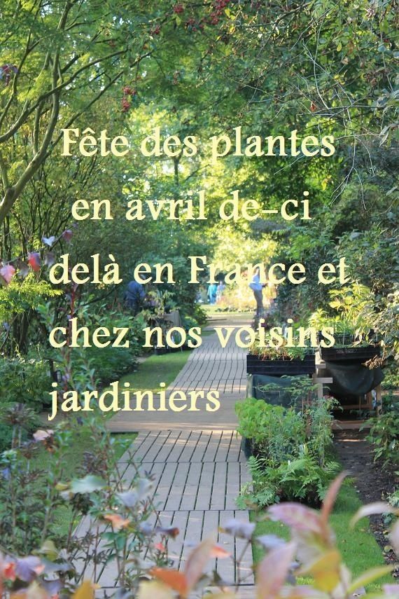 6èmes rencontres botaniques du centre
